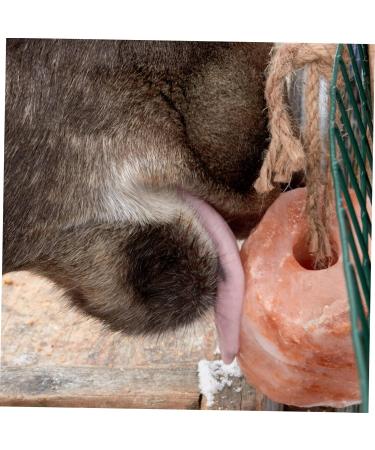 Ipetboom Animal Lick Salt Block Small Pets Lick Salt Horse Salt Lick Salt Lick Deer Salt Chew Treat Supplies - Buy Online on GoSupps.com