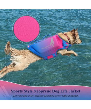 Vivaglory Dog Lifeguard Vest - Skin-Friendly Neoprene Swimming Safety for Large Dogs - D-Ring & Quick Lock - Pink Blue XL (71-84cm) - Buy Online on GoSupps.com
