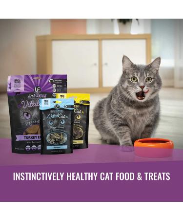 Vital Essentials Freeze-Dried Minnows Treats for Cats - 0.5 oz | Healthy Cat Snacks - Buy Online on GoSupps.com