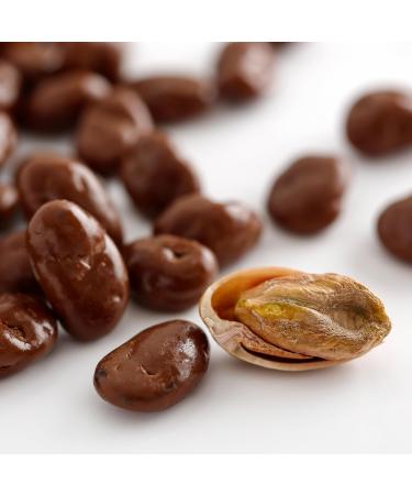 Yupik Milk Chocolate Covered Pistachios 500 gr Fine Milk Chocolate Roasted Nuts Decadent Pistachios Dipped in Chocolate Creamy & Delicious Snack Perfect for Sharing & Gifting Milk Chocolate Covered Pistachios 500 g - Buy Online on GoSupps.com