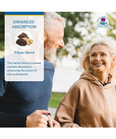 Ayush Herbs Multi - All-Natural High Antioxidant Multivitamin for Women and Men - 90 Vegetarian Capsules - Buy Online on GoSupps.com