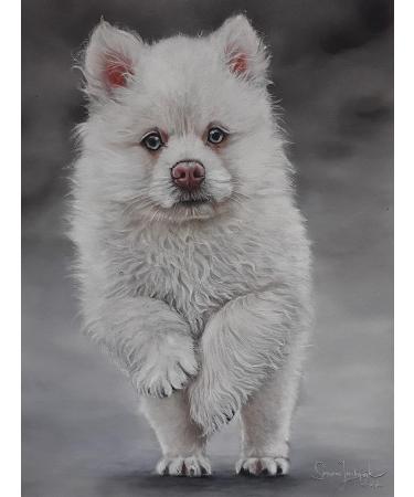 Clairefontaine EXA-96016 96016C Pastelmat  glued pad  18x24cm  18 x 24 cm  Assorted Colours 18 x 24 cm Card Pad No 1 - Buy Online on GoSupps.com