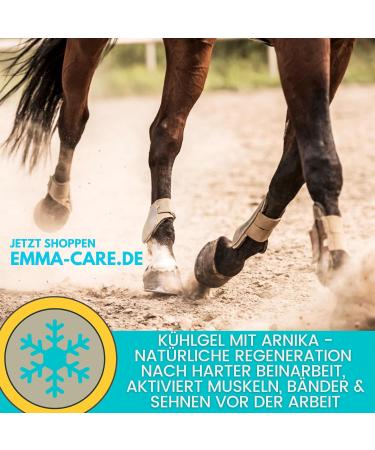 2 in 1 Cooling + Warm Horse Balm 2 x 500 ml - Cooling Gel with Extra Strength Arnica Ointment I Tendons Ligaments I Refreshing Ointment and Heating Ointment I Ointment for - Buy Online on GoSupps.com