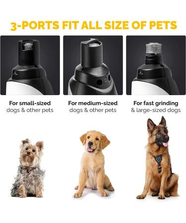LuckyTail Dog Nail Grinder Trimmer: Professional 2-Speed Electric Pet Grooming Tool Kit | Quiet & Painless Paw Clipping | Rechargeable - Buy Online on GoSupps.com