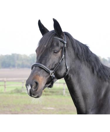 Solibel Trekking Bridle Black - Stainless Steel Thoroughbred Fit | International Shipping Available - Buy Online on GoSupps.com