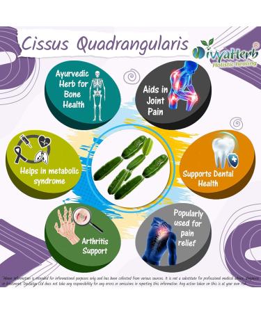 Cissus Quadrangularis (HadJod) Powder - 100% Natural - 1 Pack - Buy Online on GoSupps.com