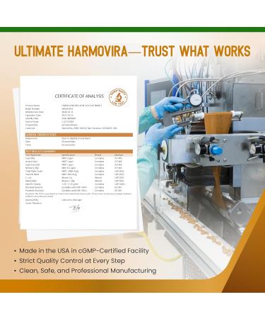 Mullein with Peppermint Ginger & Licorice Advanced Formula Respiratory Support Immunity Support & Lung Detox & Cleanse* Net Wt. 2.0 fl oz (60ml) 60 ml (pack of 1) - Buy Online on GoSupps.com