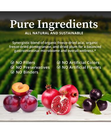 BioPure Deep Purple All-Natural Superfruit Dietary Supplement - 100g - Buy Online on GoSupps.com
