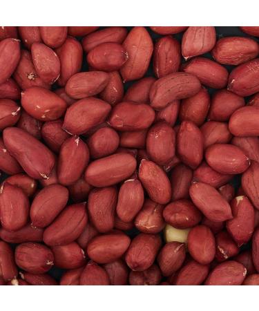 Organic Peanuts Unroasted Peanuts - 500 g Peanut Non-Nal e They contain Protein Fiber Vitamins and Minerals for Snacks or for Making Peanut Butter. - Buy Online on GoSupps.com