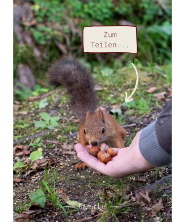 Kamelur Hazelnuts in shell from Italy - High quality whole & unshelled hazelnuts - in biodegradable packaging - 1kg - Buy Online on GoSupps.com