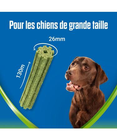 PURINA DENTALIFE ACTIVFRESH LARGE | Treats for Large Dogs | 4 Chew Sticks | Spirulina and Honey | Pack of 1 | 115 g - Buy Online on GoSupps.com