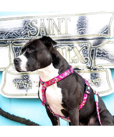 Max & Molly H-Harness - Magical | Premium Pint-Sized Pet Gear for International Shipping - Buy Online on GoSupps.com