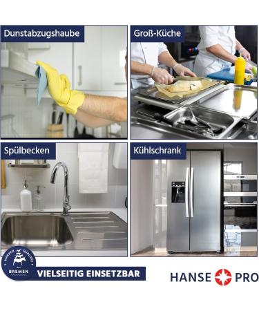 Hanse Pro Stainless Steel Cleaner - Ready to Use Fragrance-Free & Dye-Free Strip-Free Cleaning for Kitchen & Grill (4 x 500 ml) - Buy Online on GoSupps.com