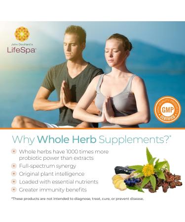 LifeSpa Whole Herbs Liver Repair | Liver Detox | Liver Cleanse and Repair | Health Supplements for Liver Health | Supports Liver and Gallbladder Detox | 90 Capsules | 475mg - Buy Online on GoSupps.com