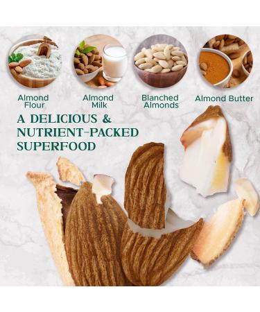 Dry Roasted Almonds Unsalted 3 lbs | Gluten & Peanut Free | Non-GMO | Healthy Protein Snack | Premium Quality Batch Tested - Buy Online on GoSupps.com