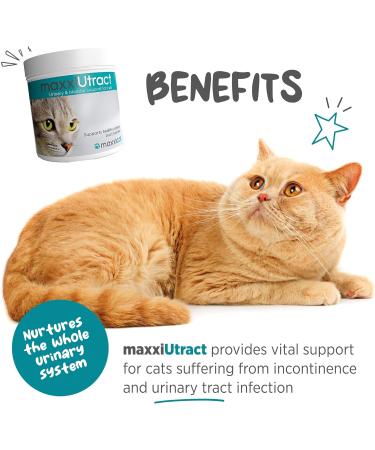 maxxipaws maxxiUtract Urinary and Bladder Supplement for Cats to help Prevent UTI Recurrence and Support Optimum Urinary Tract Health Cranberry Powder 60g 60 g (Pack of 1) - Buy Online on GoSupps.com