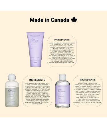 DANS UN JARDIN - Bodycare Set for Women Made in Canada - Wild Blackberry Fragrance - Body Cream Bubble Bath & Shower Gel - Beauty Gift for Women - Gentle on the Skin - Vegan Products - Pack of 3 - Buy Online on GoSupps.com