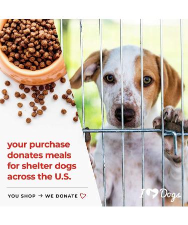 iHeartDogs Artisan Shadow Solar Lantern - 'Butterflies & Paws' Pet Memorial Gift - Honoring Your Departed Pet by Feeding 7 Shelter Pets - Buy Online on GoSupps.com