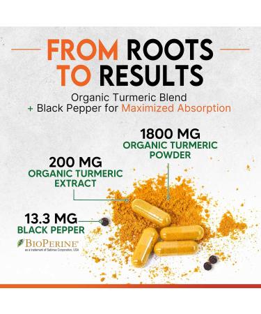 Turmeric Curcumin Supplement 2000mg - Nature's Joint & Immune Support Organic Tumeric & BioPerine Black Pepper for Best Absorption with 95% Curcuminoids Non-GMO Bottled USA - 120 Capsules 120 Count (Pack of 1) - Buy Online on GoSupps.com