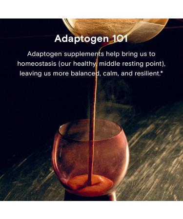 Reishi by Moon Juice - Organic Reishi Mushroom Powder Extract (700mg 1 3 and 1 6 Beta-Glucans per Serving) - Supports Mood Concentration & Healthy Immune System - Vegan Non-GMO (1.3oz) 0.9 Ounce (Pack of 1) - Buy Online on GoSupps.com