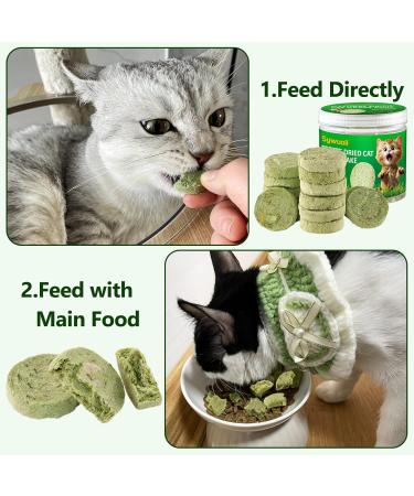 90g Cat Grass Treats Cat Grass Teething Stick for Hairball Remove and Teeth Cleaning Edible Cat Grass Stick Snack - Buy Online on GoSupps.com