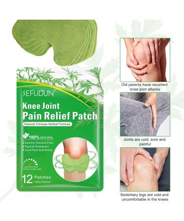 Pain Relieving Joint Plaster - 24PCS Natural Wormwood Stickers for Neck & Knee Pain Relief - Buy Online on GoSupps.com