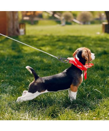 Buy Hofleine 9m Tie Out Cable for Dogs | Shock-Damping Spring | Durable Linen for Medium & Large Dogs | Perfect for Camping & Outdoor Use - Buy Online on GoSupps.com