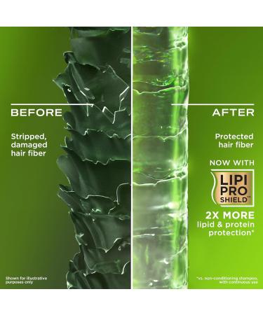  OGX OGX Refreshing Scalp+ Rosemary Mint Purifying Shampoo (385 ml) that helps visibly remove oils and residue for all hair types especially for - Buy Online on GoSupps.com