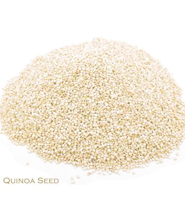 Quinoa Seed and Iron Goddess Oolong Tea Herbal Infusion (25 Unbleached Tea Bags - 50g) - Buy Online on GoSupps.com