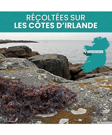 VIRHEA Sea Moss 50g Enti re Mousse de Mer Irlandaise Algue S ch e Naturelle - Buy Online on GoSupps.com