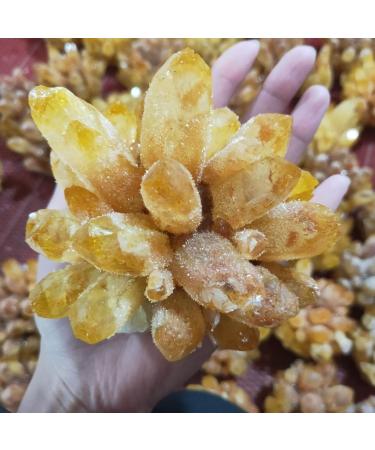 Crystal Rough Natural Crystal Rough Specimen 700-800g Natural Yellow Ghost Phantom Quartz Crystal Cluster Rock Stones and Crystals ReikiSpecimen HomeStone - Buy Online on GoSupps.com