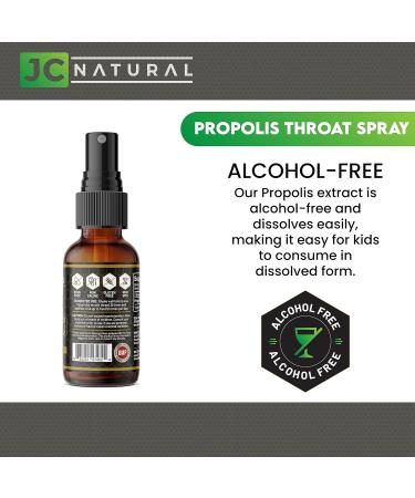 CGMLABS Propolis Throat Spray 1 fl oz - Alcohol-Free Immune Support & Antioxidant - Buy Online on GoSupps.com