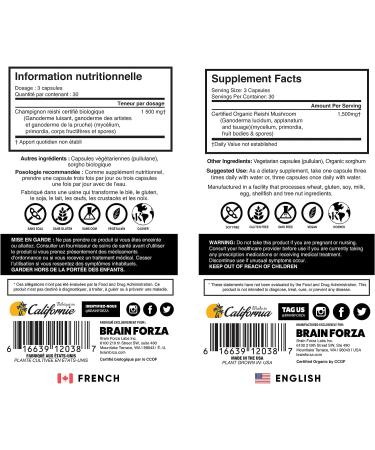 Brain Forza Organic Red Reishi Mushroom Capsules - Immune Support & Cardiovascular Health - 90 Vegan Capsules - Buy Online on GoSupps.com