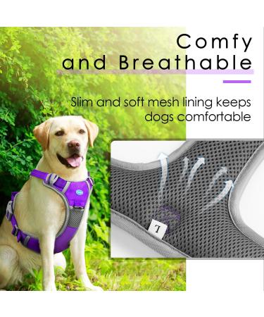 Thinkpet Anti Zug Dog Harness - Adjustable No-Choke Dog Harness with Handle Reflective & Breathable Size L (Purple) - 1 Pack for Easy Control - Buy Online on GoSupps.com