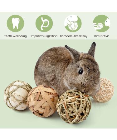 Small Animals Play Balls & Treats for Rabbits Guinea Pigs Chinchilla - Pack of 6 - Buy Online on GoSupps.com