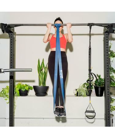 Pull Up Resistance Bands Set - Assist Exercise Bands for Stretching Mobility & Resistance Training - Long Workout Bands in Blue - Buy Online on GoSupps.com