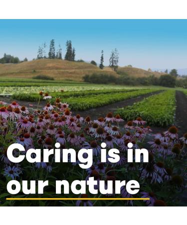 Natural Factors Coenzyme Q10 100mg - High-Dose Soft Capsules Gluten-Free & Non-GMO Lab Tested - 120 Count - Buy Online on GoSupps.com