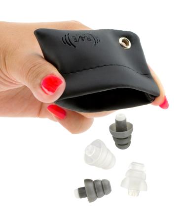 Rave High Fidelity Ear Plugs: HiFi Hearing Protection for Music Concert Noise Reducing Earplugs Help Stop Tinnitus Ear Buds Filter Noise for Ear Protection (Black Case) (2 Pairs - 19/25 Decibel)