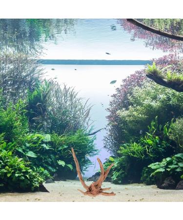 POPETPOP Aquarium Driftwood Branches- 3pcs Aquarium Driftwood for Reptiles Freshwater Terrarium Decor Reptile Tank Accessories Spiderwood for Aquarium - Buy Online on GoSupps.com