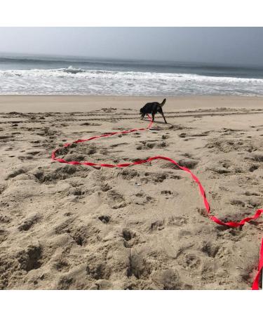Pettom Drag Line for Dogs - Robust 6m/10m/15m Leash with Padded Handle | Durable Nylon Training Line | Perfect for Cross-Country Adventures - Buy Online on GoSupps.com