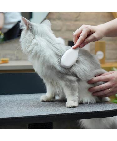 Lucybalu Cat Brush for Short & Long Hair | Premium Cat Grooming Tool with Metal Bristles & Wooden Handle | Perfect for All Cat Breeds - Buy Online on GoSupps.com