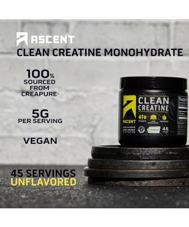 Ascent Clean Creatine Monohydrate Powder | 5G Creapure Creatine Supplement | Unflavored | 45 Servings - International Shipping - Buy Online on GoSupps.com