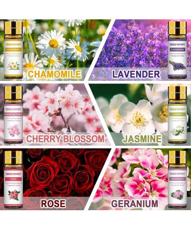 Migcaput 12x5ml Essential Oils Set - 100% Natural Aroma Diffuser Oils for Jasmine Lavender Geranium | Ideal for Diffusers Humidifiers & Massage - Buy Online on GoSupps.com