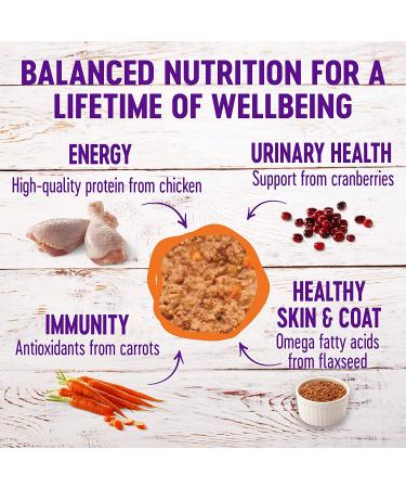Wellness Complete Health Grain-Free Chicken Wet Cat Food - 12.5 oz Pate - Pack of 12 - Natural, Made in USA - Buy Online on GoSupps.com