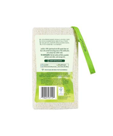 EcoTools Loofah Body Sponge - Exfoliating Body Scrubber for Men & Women - 3 Pack, Vegan & Cruelty-Free - Buy Online on GoSupps.com