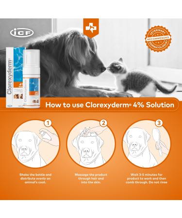 Clorexyderm 4% Foam Mousse Dry Shampoo for Dogs & Cats - Antibacterial & Antifungal - 100 ml - Relieves Dry Itchy Skin, Moisturizes & Softens Coat - Buy Online on GoSupps.com