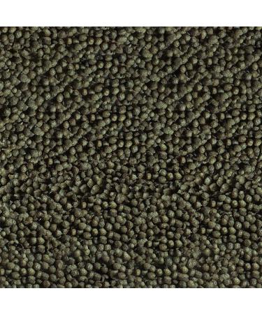 Sera Goldy Color Spirulina 250ml - Premium Color Enhancing Goldfish Feed with 10% Spirulina for Vibrant Aquariums - High Feed Evaluability & Less Algae - Buy Online on GoSupps.com
