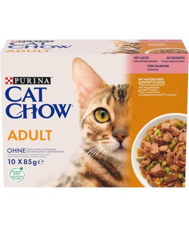 Cat Chow Dry Food for Adults - Salmon & Green Beans | 850g Lunch Bag | International Shipping - Buy Online on GoSupps.com
