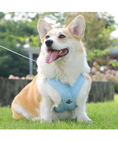 Buy No-Pull Dog Harness for Small Dogs - Reflective Soft & Safe with Leash | Anti-Pull Breast Dishes - Blue - Buy Online on GoSupps.com