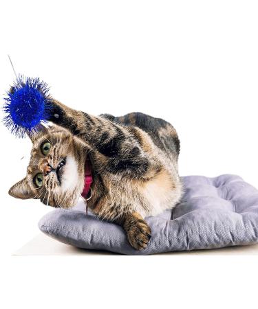20 Pcs 2 Inch Cat Sparkle Balls Toy for Kittens and Cats - Interactive Exercise and Play Balls for Chasing - Buy Online on GoSupps.com